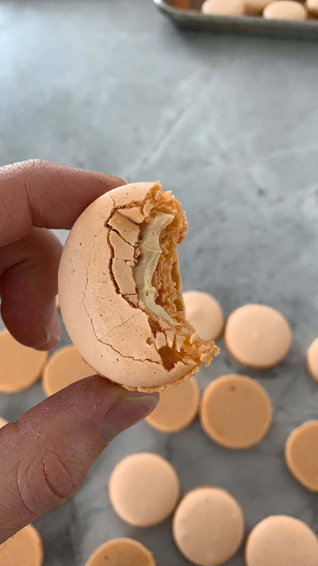 Macaron - Caramel Fleur de Sel