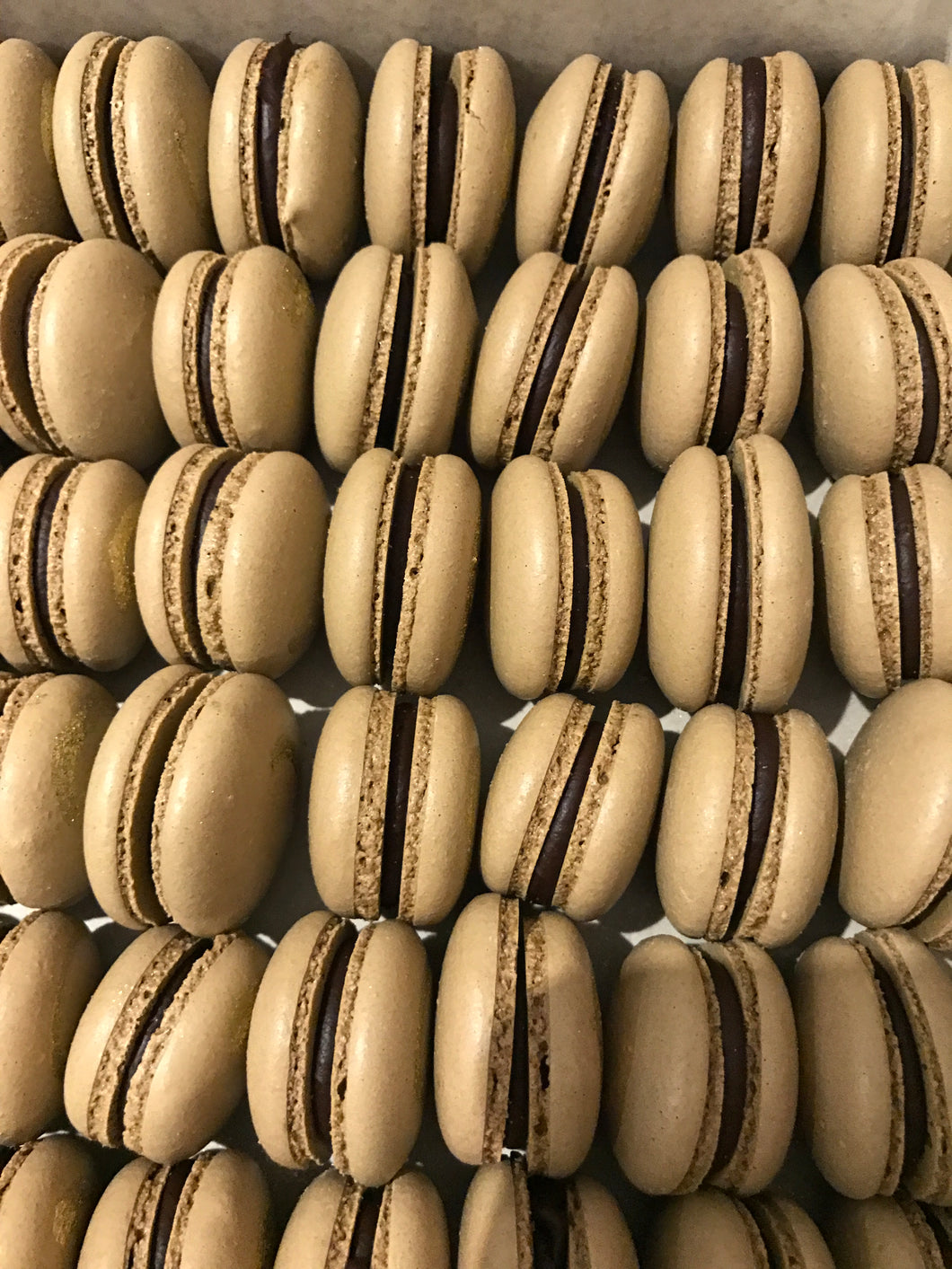 Macaron - Chocolat